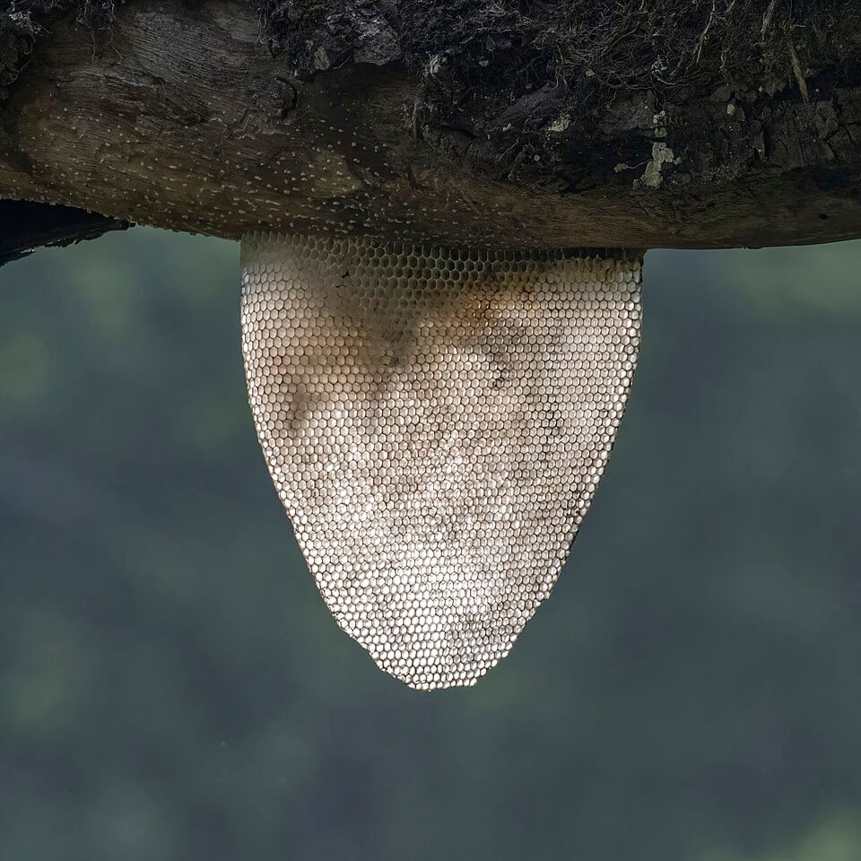 Opbergen voor mensen met ADHD: praktische strategieën