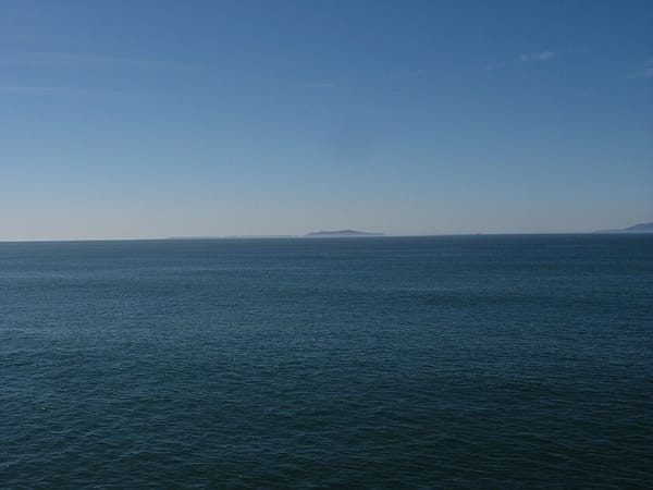 Thuiswerkplek inrichten: van rommelig hoekje tot productief thuiskantoor