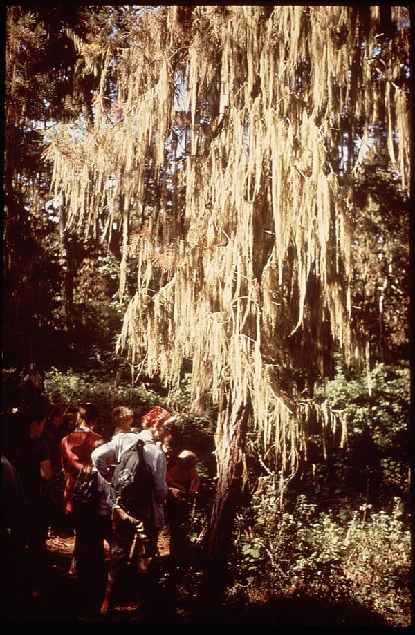 Administratie vereenvoudigen: papierloze huishouding